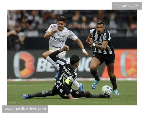 弗拉门戈、桑托斯与圣保罗：巴甲豪门争霸史，谁是最强王者？